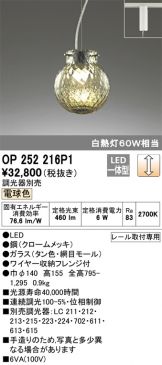 OP252216P1