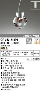 OP252218P1