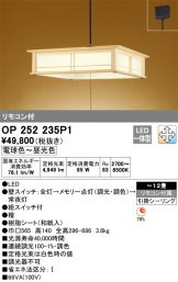 OP252235P1