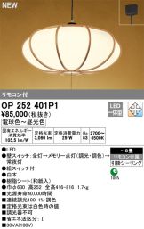 OP252401P1