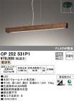OP252531P1