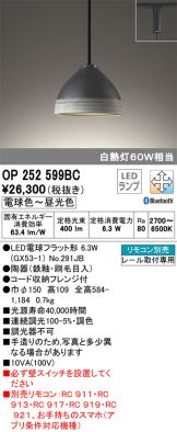 OP252599BC