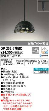OP252676BC
