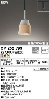 OP252793