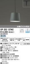 OP252137NC