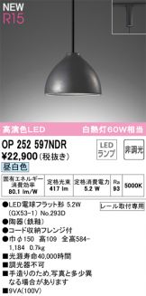 OP252597NDR