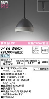 OP252599NDR