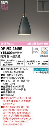 OP252234BR