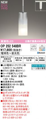 OP252548BR