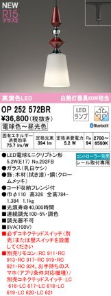 OP252572BR