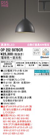 OP252597BCR
