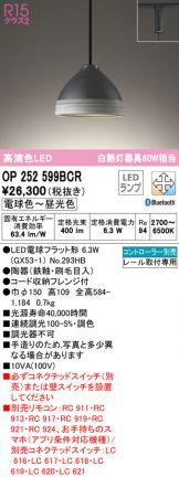OP252599BCR
