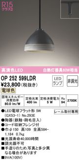 OP252599LDR