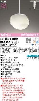OP252644BR