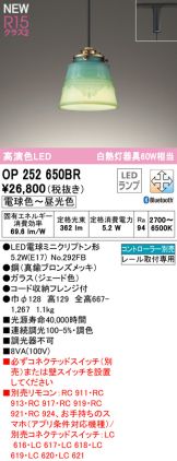 OP252650BR
