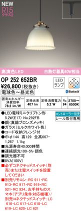 OP252652BR