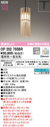 OP252755BR