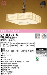OP252391R