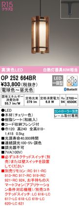 OP252664BR