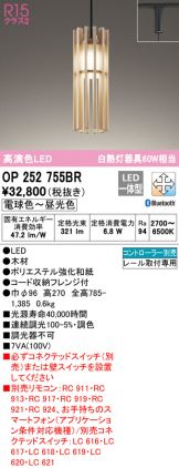 OP252755BR