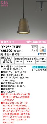 OP252787BR