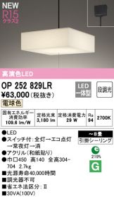 OP252829LR