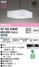 OP252829NR