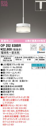 OP252838BR