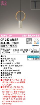 OP252868BR