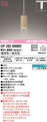 OP252900BR