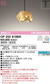 OP252910BR