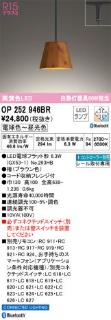 OP252946BR