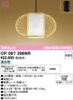 OP097299NR
