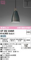 OP252234NR