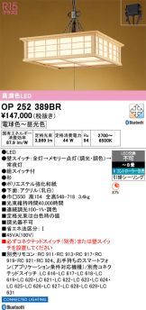 OP252389BR
