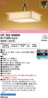 OP252839BR