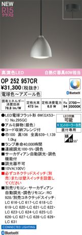 OP252957CR