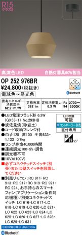 OP252976BR