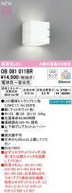 OB081011BR