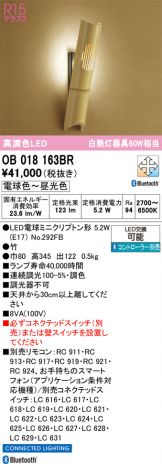 OB018163BR