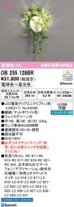 OB255128BR