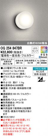 OG254847BR