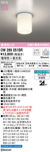 OW269051BR