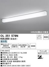 OL251579N