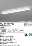 OL291029P2B