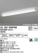 OL291029P2B