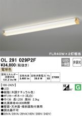 OL291029P2F
