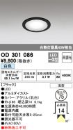 OD301086