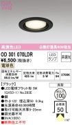OD301070LDR