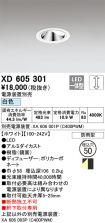 XD605301
